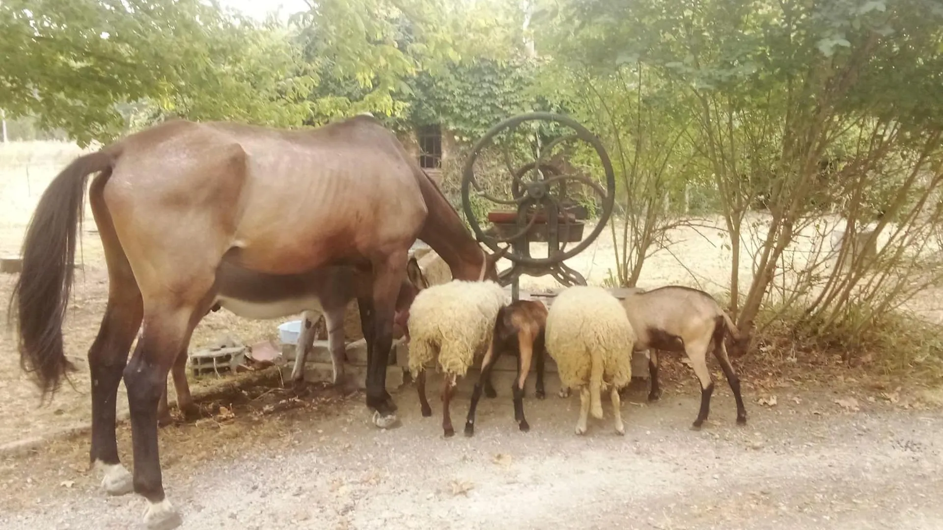 Дом отдыха Вилла Bienvenue A La Ferme Castanet-Tolosan